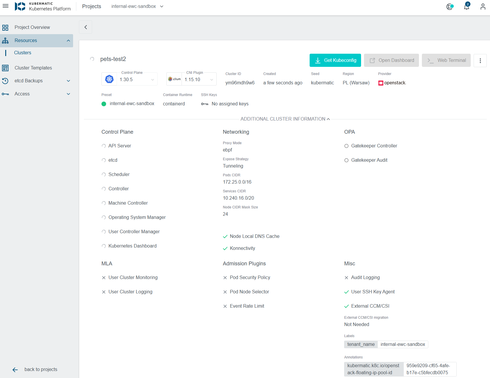 European Weather Cloud Knowledge Base > EUMETSAT EWC Managed Kubernetes Service - Creating Clusters > image-2025-1-31_14-30-49.png